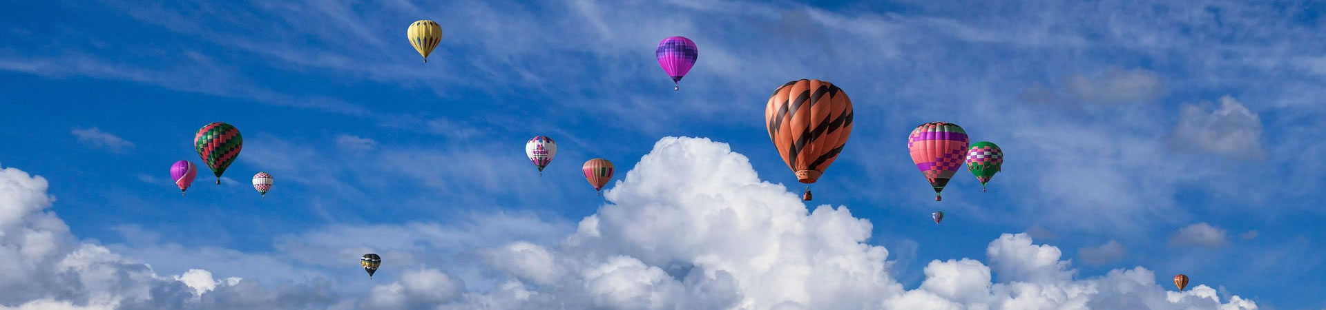 遵义猫咪交流群